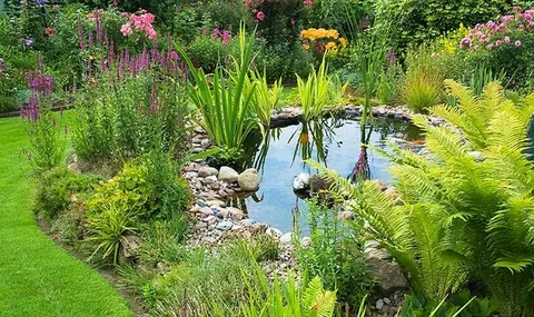 Restoring Clarity and Balance to Garden Ponds in Kent